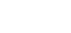 Platinum Consulting Services - Logo